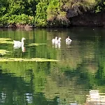 Marios Poros (Kefalonia)
