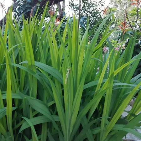 Marios Poros (Kefalonia)