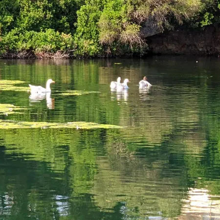 Marios Poros (Kefalonia)