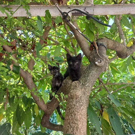Marios Poros (Kefalonia)