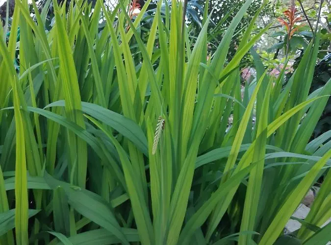 Marios Poros (Kefalonia)