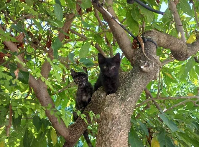Marios Poros (Kefalonia)